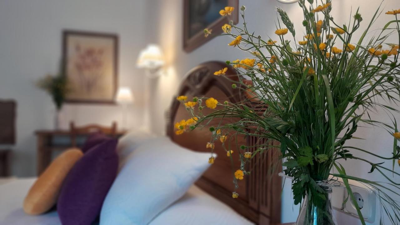 Apartamentos El Haya 科斯加亚 外观 照片